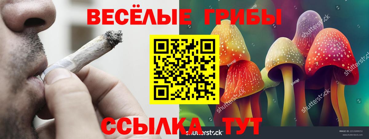 Галлюциногенные грибы Cubensis Барабинск